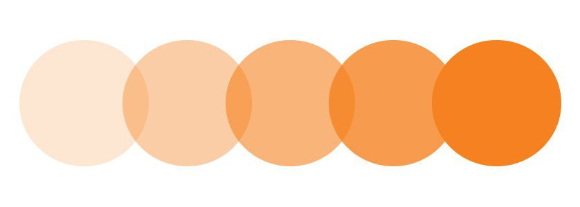 Construction Processes